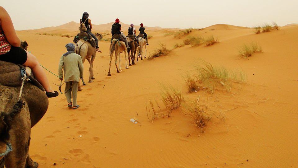 Tofu Hotel & Safari Jaisalmer Eksteriør bilde